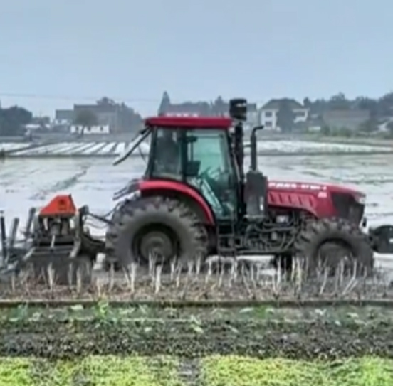 您負(fù)責(zé)統(tǒng)籌全局，它負(fù)責(zé)腳踏實地